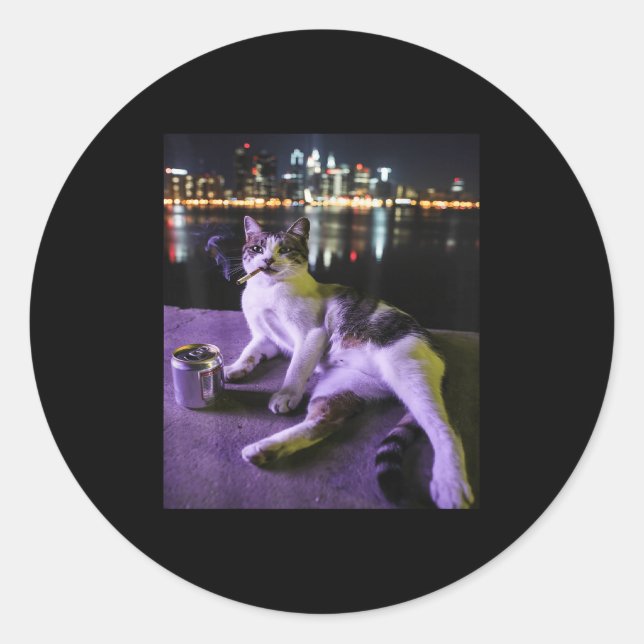 Cigarette Kitten Funny Smoking Cat Meme Stupid Bra Classic Round Sticker (Front)
