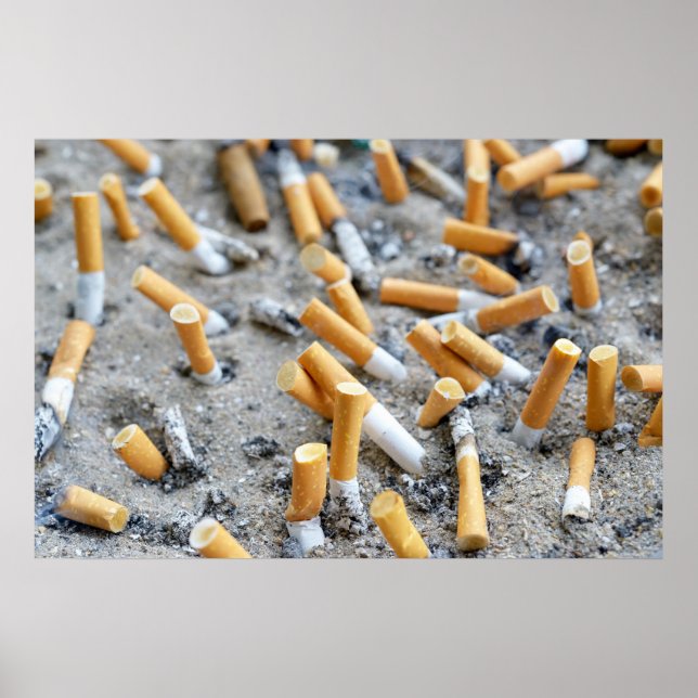 Cigarettes in outdoors ashtray poster (Front)