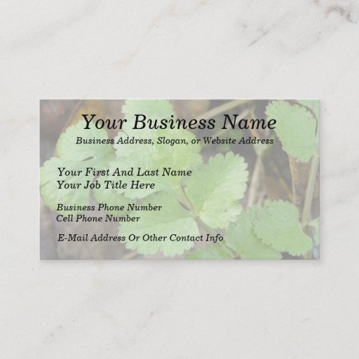 Customizable Cilantro Business Card