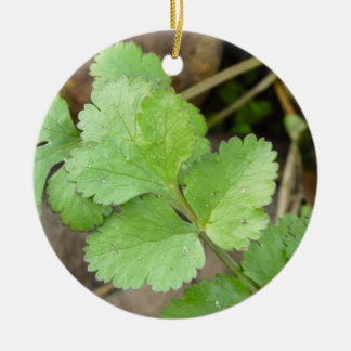 Cilantro Ceramic Ornament