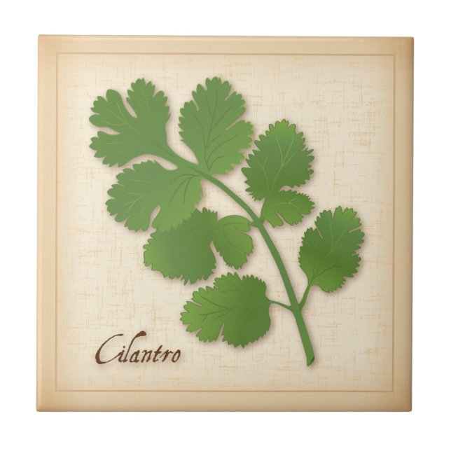 Cilantro Herb Ceramic Tile (Front)