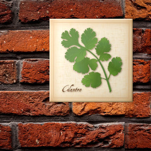 Cilantro Herb Ceramic Tile