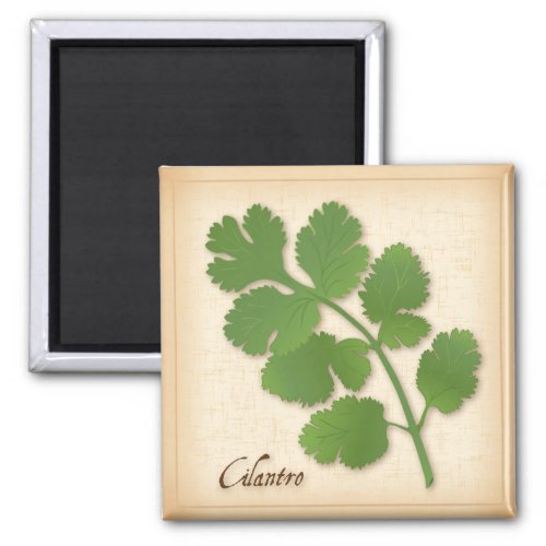 Cilantro Herb Magnet