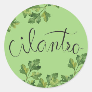 Cilantro herbs classic round sticker
