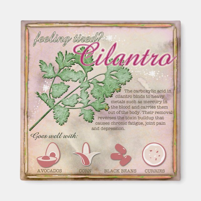 Cilantro Magnet (Front)