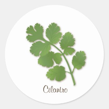 Cilantro Sticker by pomegranate_gallery at Zazzle