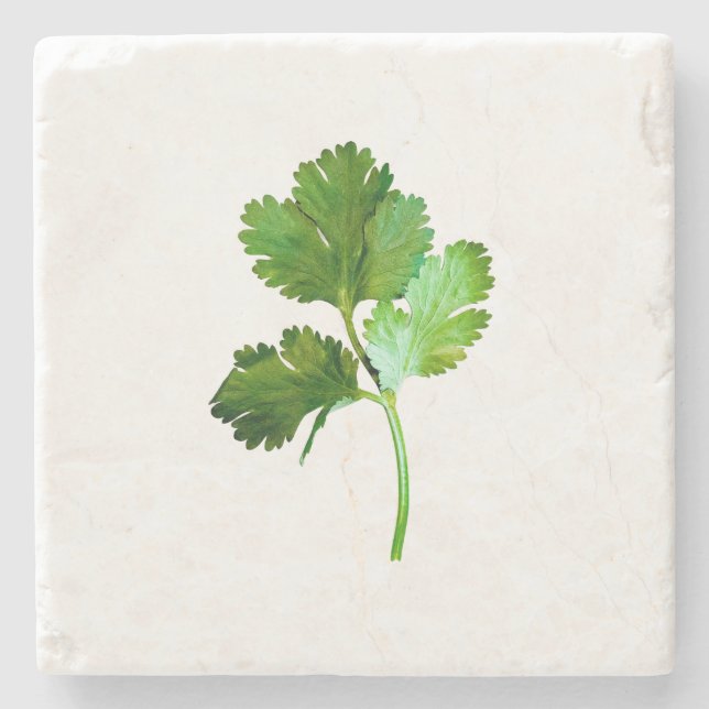 Cilantro Stone Coaster (Front)