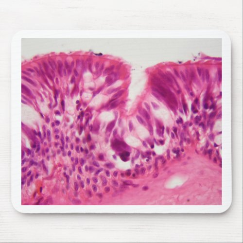 Ciliated epithelium under the microscope mouse pad