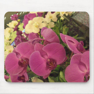 CIMG0482 MOUSE PAD