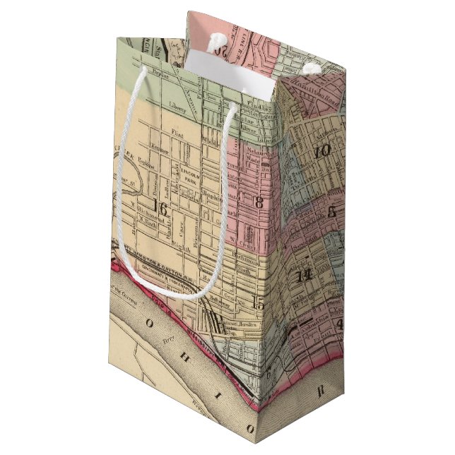 Cincinnati Map by Mitchell Small Gift Bag (Back Angled)