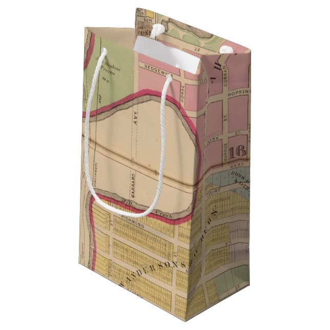 Cincinnati, Ohio 2 Small Gift Bag (Back Angled)