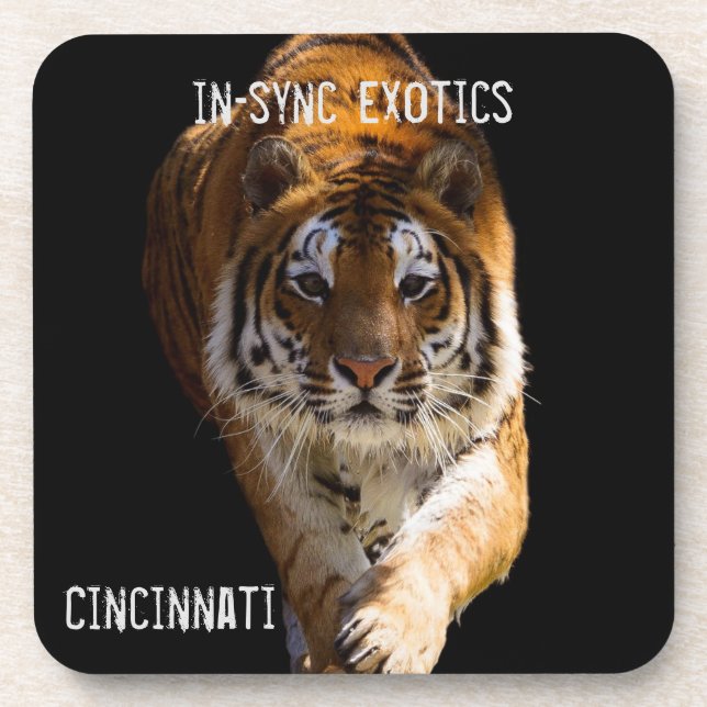 Cincinnati Tiger - Beverage Coaster (Front)