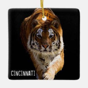 Cincinnati Tiger - Ceramic Ornament