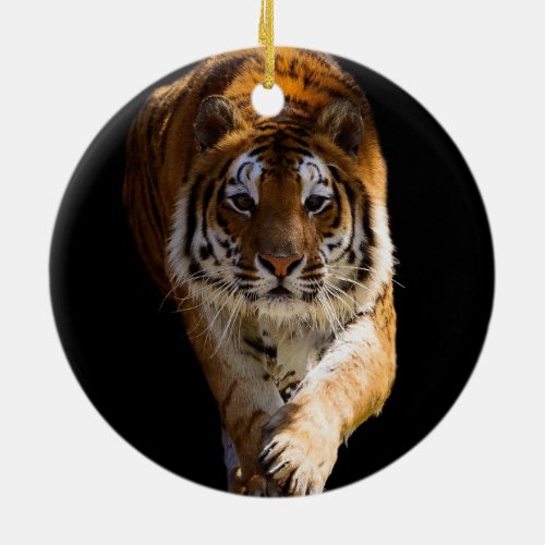 Cincinnati Tiger _ Ceramic Ornament