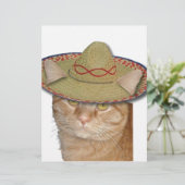 Cinco de Gato (Standing Front)