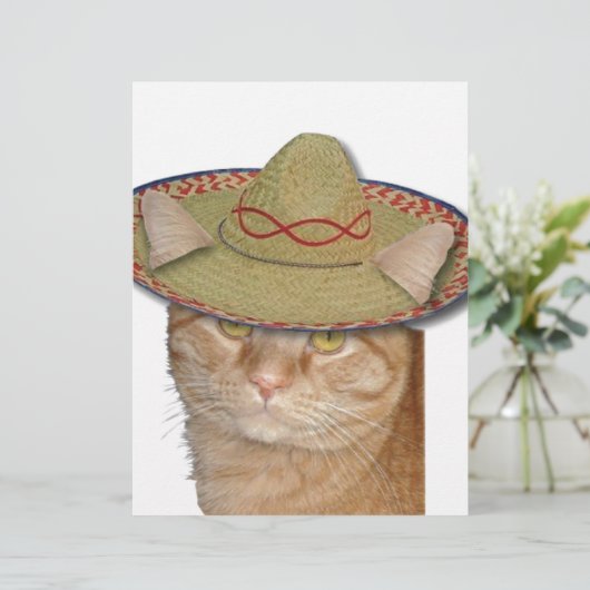 Cinco de Gato (Standing Front)