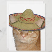 Cinco de Gato (Front/Back)