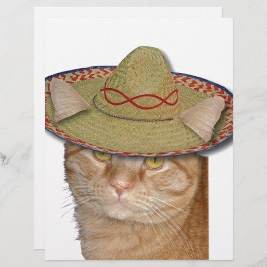 Cinco de Gato (Front/Back)