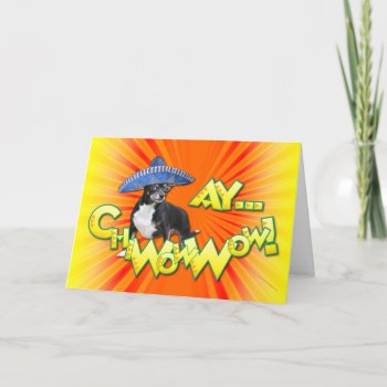 Cinco De Mayo - Ay Chwowwow! - Chihuahua Card by FrankzPawPrintz at Zazzle
