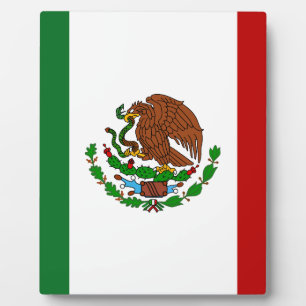 Cinco de Mayo Flag of Mexico Plaque