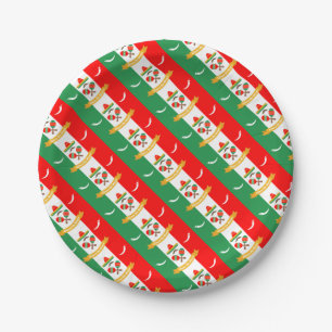 Cinco De Mayo flag Paper Plates