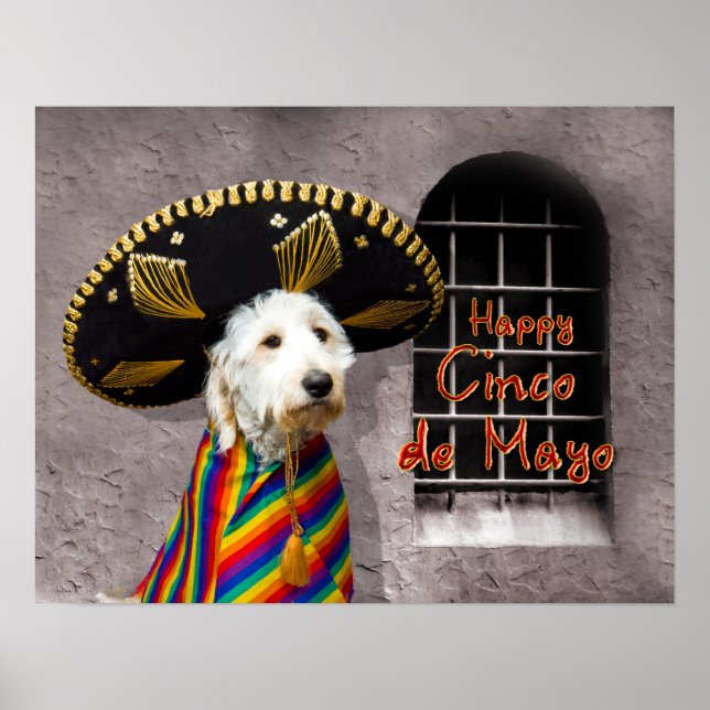 Cinco de Mayo Poster - Dog in Sombrero - Humor (Front)
