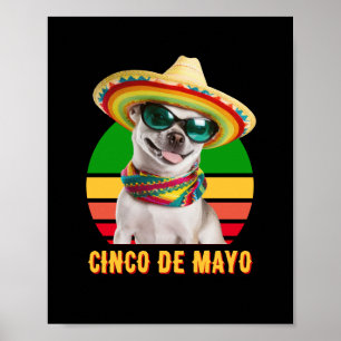 Cinco De Mayo Sombrero Chihuahua With Sunglasses Poster