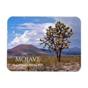 Cinder Cones, Joshua Tree, Mojave N Preserve, CA Magnet
