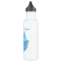 Cinderella & Castle Graphic Stainless Steel Water Bottle | Zazzle