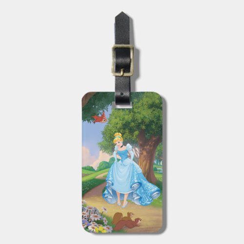 Cinderella  Glass Slippers Luggage Tag