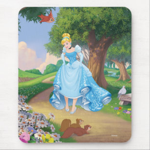 Cinderella Glass Slippers Mouse Pad