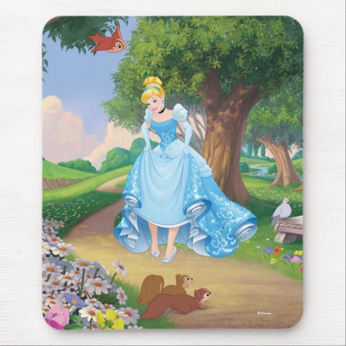 Cinderella  Glass Slippers Mouse Pad