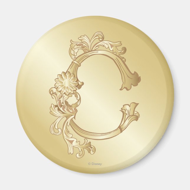 Cinderella Ornate Golden Pattern 2 Magnet (Front)