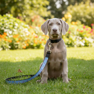 Cinderella Pet Leash