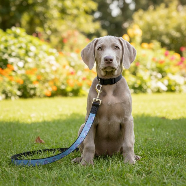 Cinderella Pet Leash (Creator Uploaded)