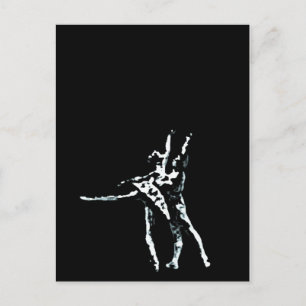 Cinderella Postcard