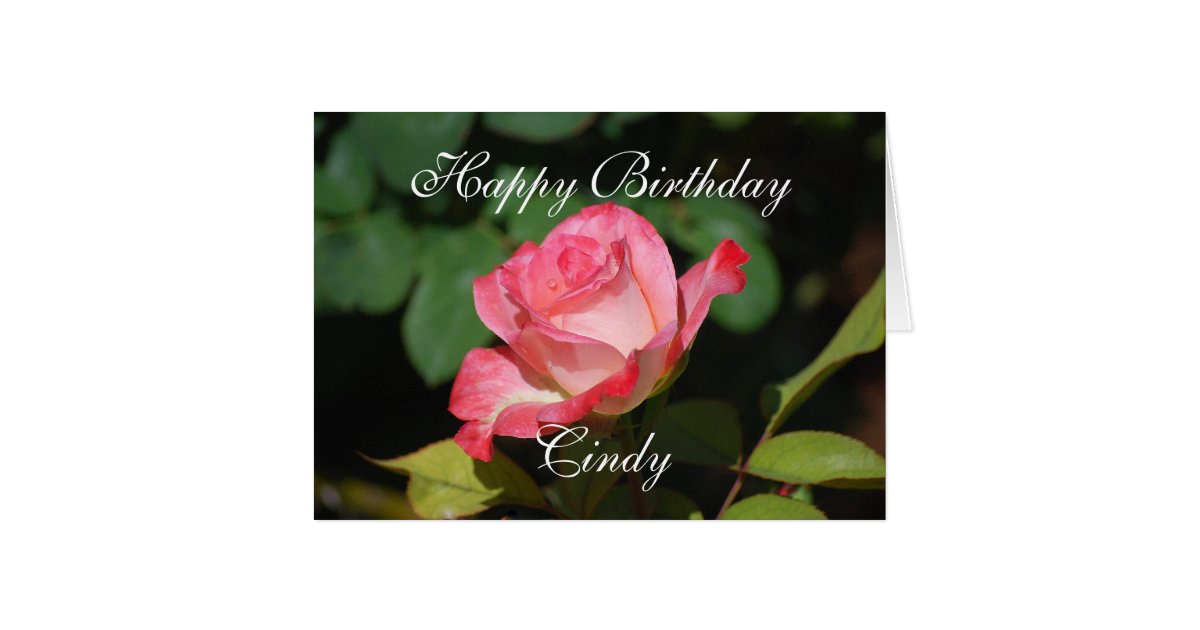 Cindy Happy Birthday Pink And White Rose Card | Zazzle