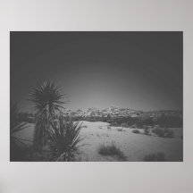 Cinematic Noir Black and White Joshua Tree