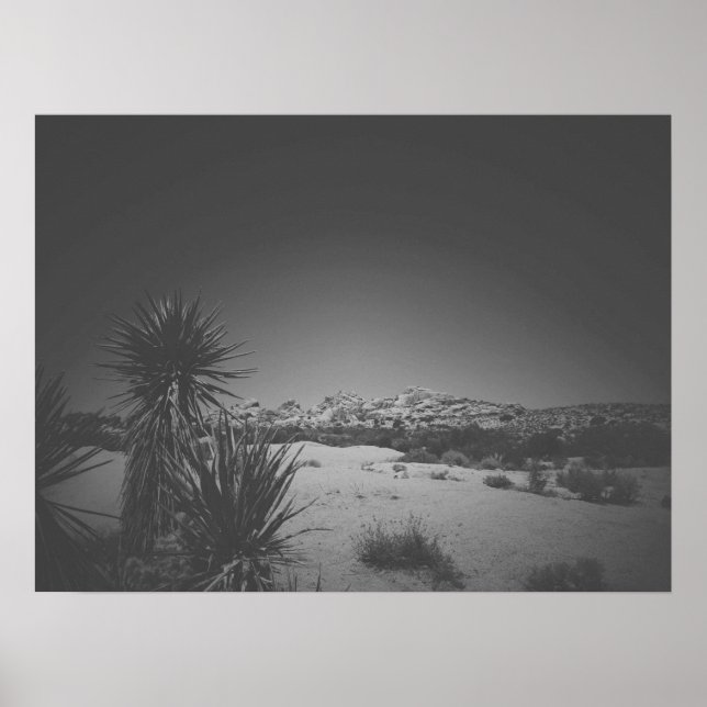 Cinematic Noir Black and White Joshua Tree Poster (Front)