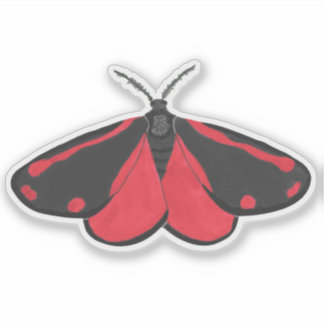 Cinnabar Moth Sticker