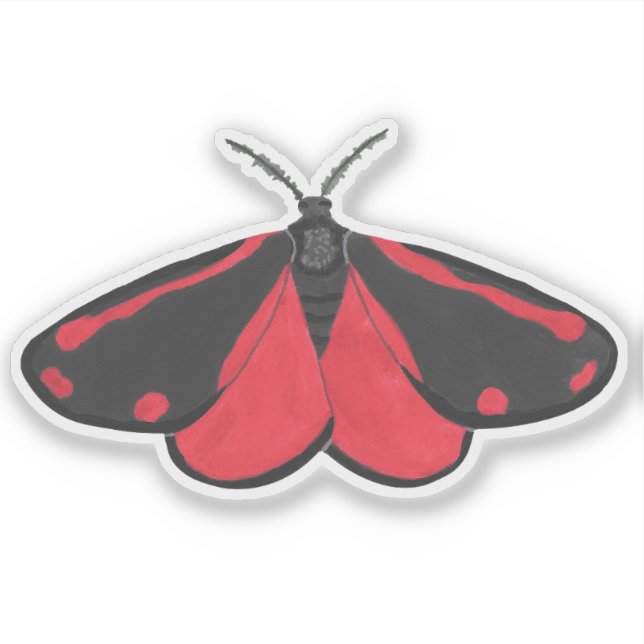 Cinnabar Moth Sticker (Front)
