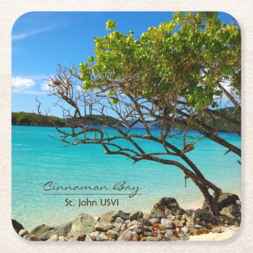 Cinnamon Bay St John USVI Tropical Coaster