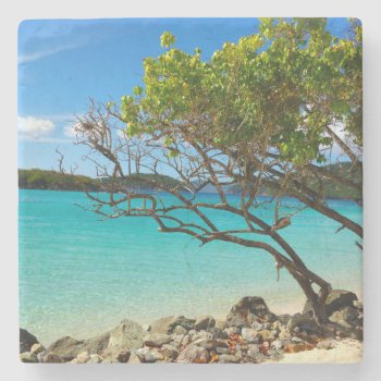 Cinnamon Bay St. John Usvi Tropical Coaster by xgdesignsnyc at Zazzle