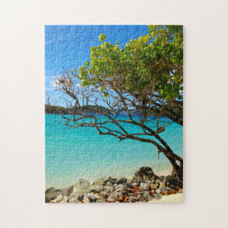 Cinnamon Bay St. John USVI Tropical Puzzle
