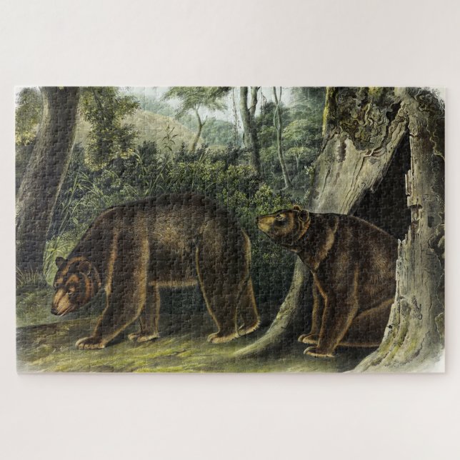Cinnamon Bear from Audubon's Quadrupeds Jigsaw Puzzle (Horizontal)