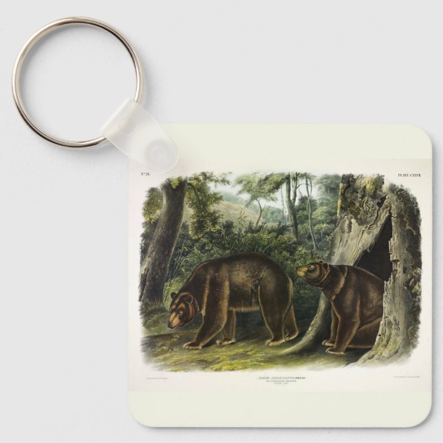 Cinnamon Bear from Audubon's Quadrupeds Keychain (Front)