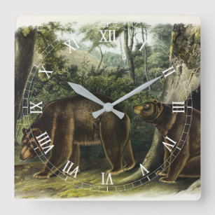 Cinnamon Bear from Audubon's Quadrupeds Square Wall Clock