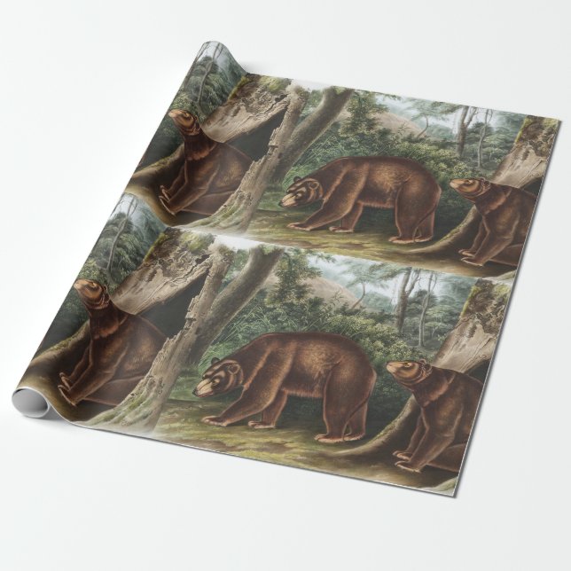 Cinnamon Bear (Ursus Americanus var. Cinnamonum) Wrapping Paper (Unrolled)