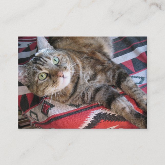 cinnamon cat aceo atc business card (Front)