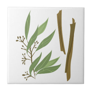 Cinnamon Ceramic Tile